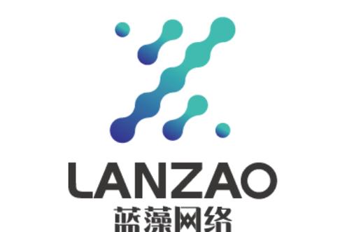守护数字疆界 网络与信息安全软件开发的深度实践与价值探索